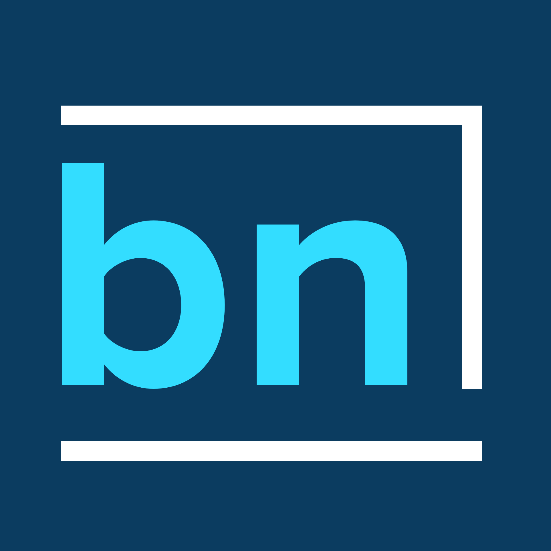 Blue Nile Media Group Inc.